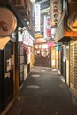 Racoon Alley in old fashioned Japanese alleyway